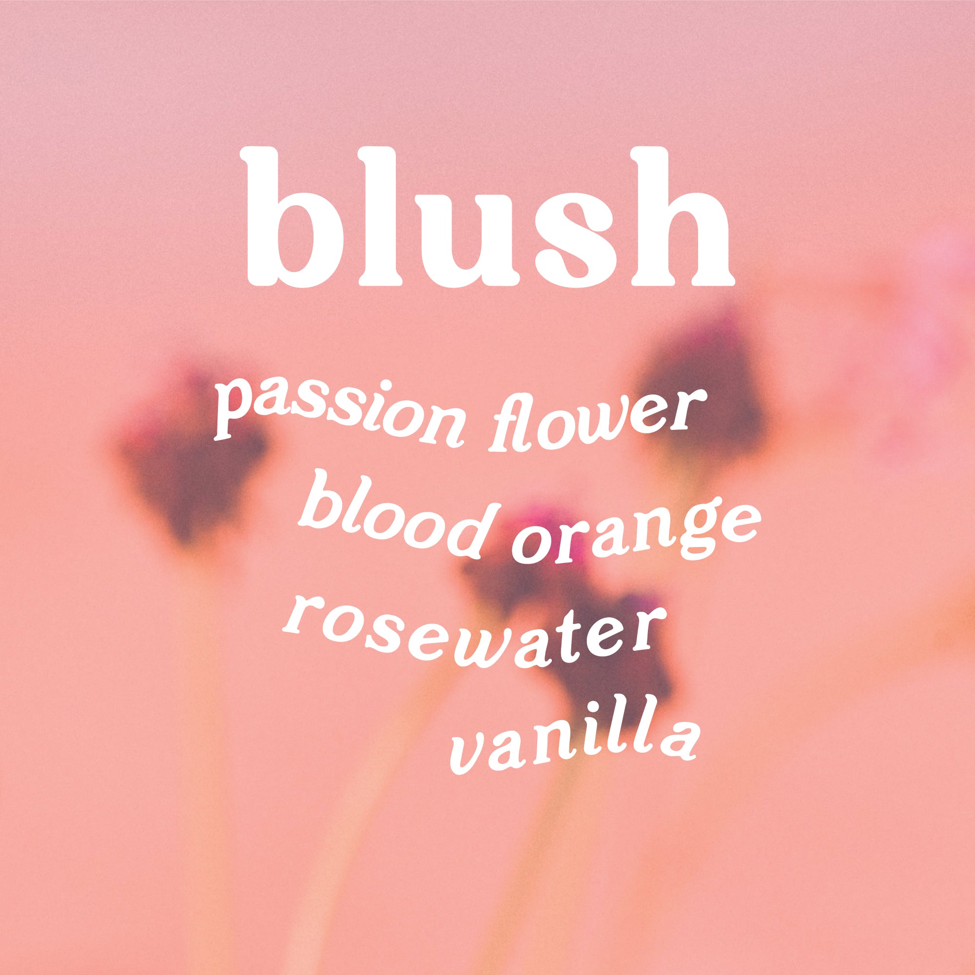 Text 'blush' with scent notes passion flower, blood orange, rosewater, and vanilla against a pink background with flower buds.