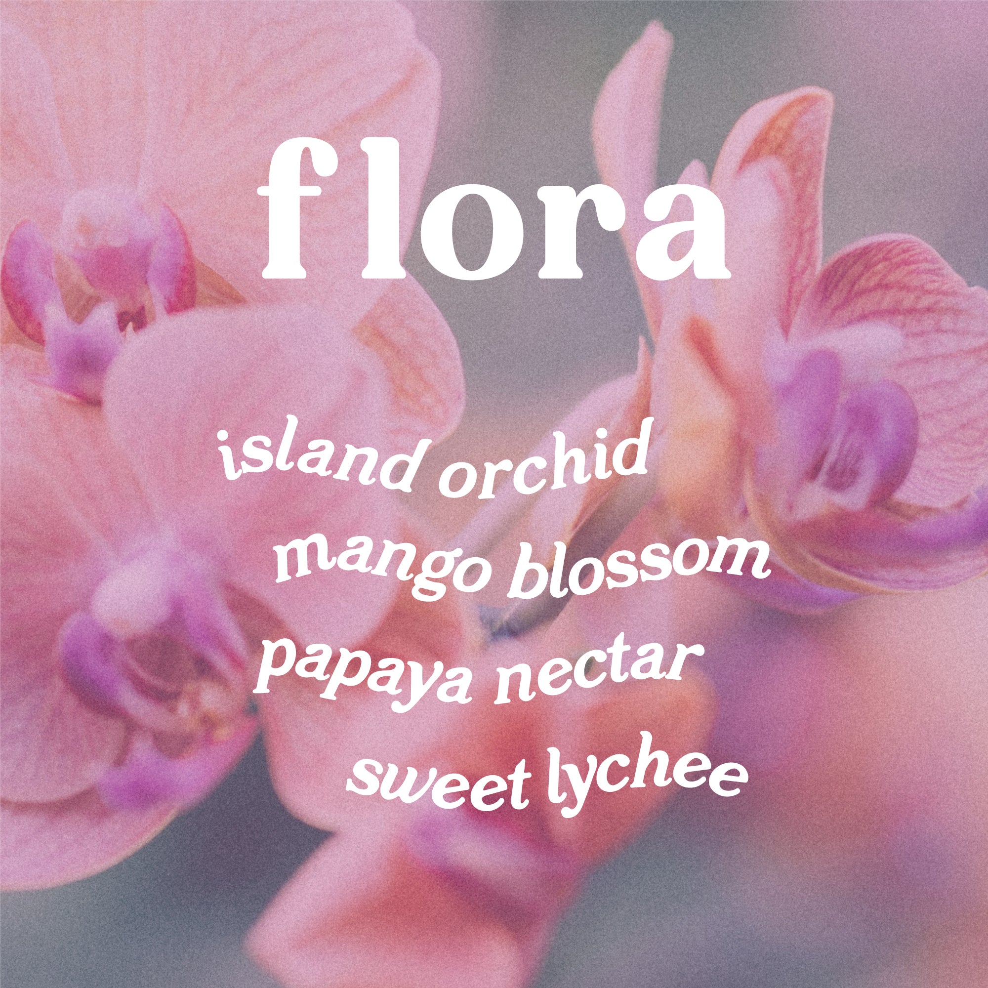 Text 'flora' with scent notes island orchid, mango blossom, papaya nectar, and sweet lychee against a background with pink orchids.