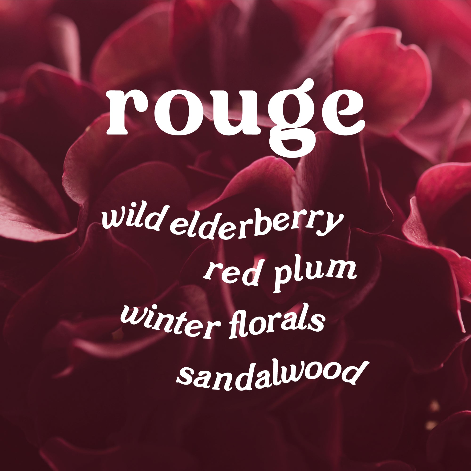 Close-up of red flowers with text describing scent notes of wild elderberry, red plum, winter florals, and sandalwood on a dark background.