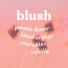 Text 'blush' with scent notes passion flower, blood orange, rosewater, and vanilla against a pink background with flower buds.