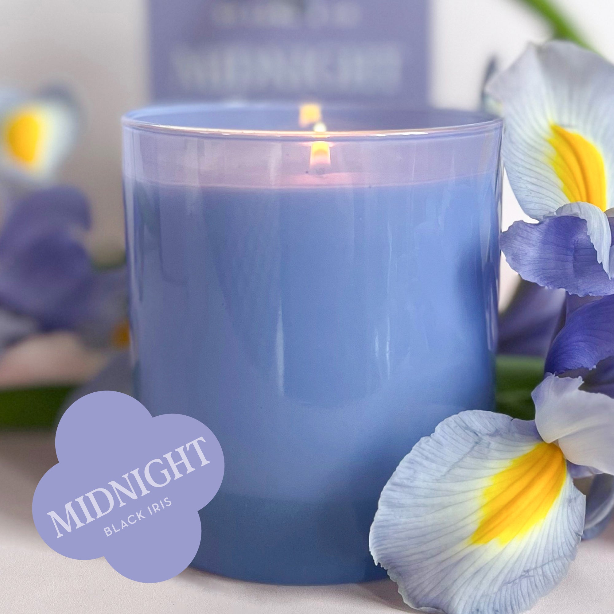 Midnight 9 oz. Hue Candle (Black Iris) – GP Candle Co.