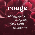 Close-up of red flowers with text describing scent notes of wild elderberry, red plum, winter florals, and sandalwood on a dark background.