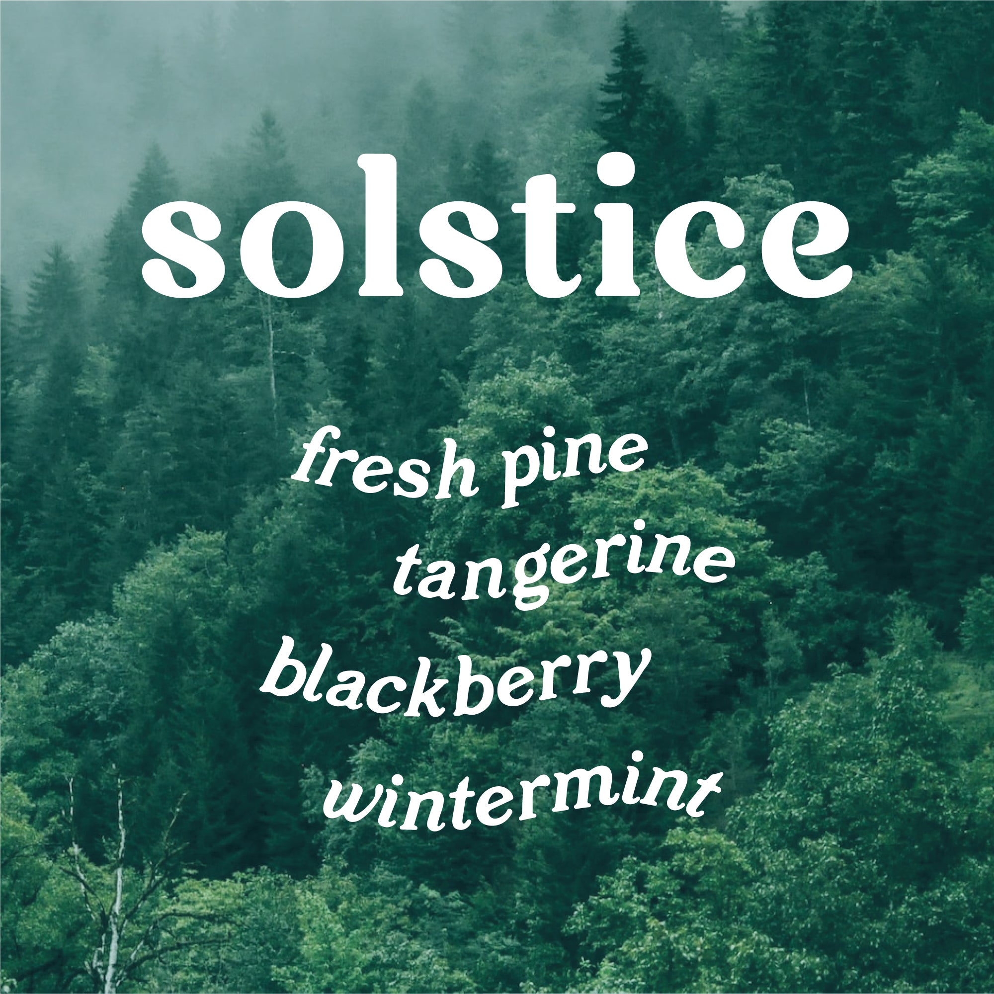 Solstice 9 oz. Hue Candle (Nordic Pine) – GP Candle Co.