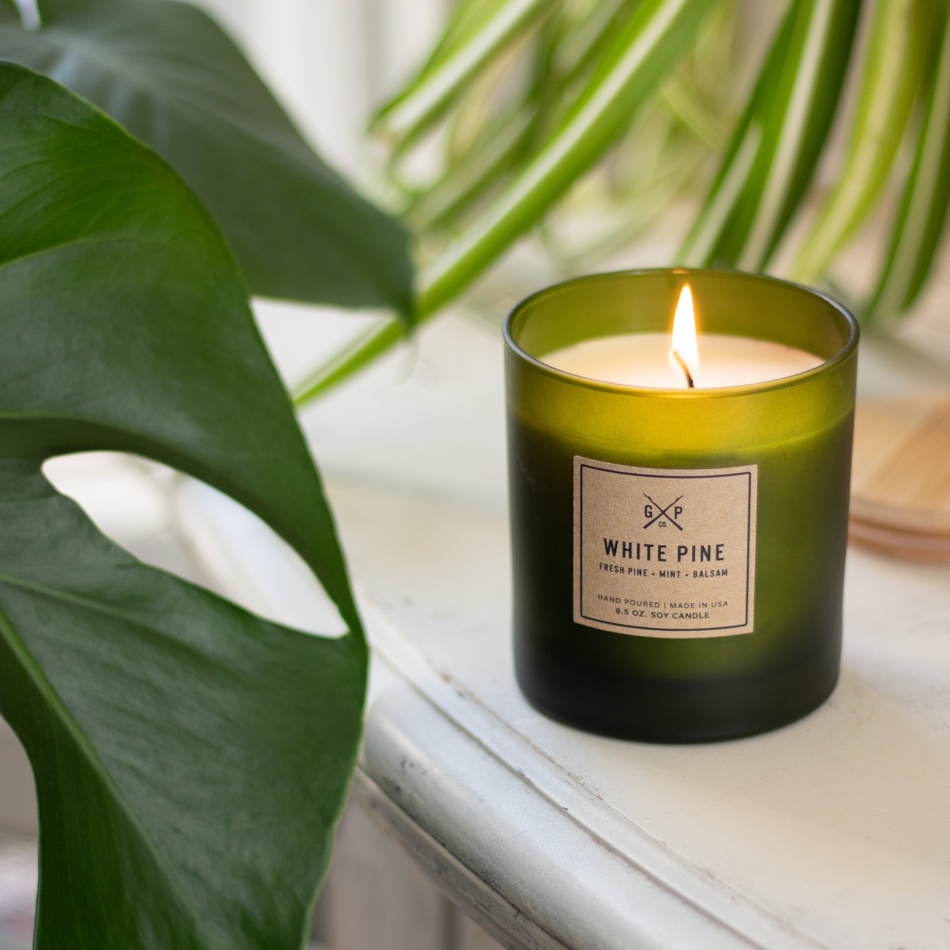 White Pine 8.5 oz. Balsam + Feather Candle – GP Candle Co.
