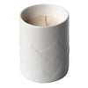 Paper Birch 12 oz. Balsam + Feather Candle